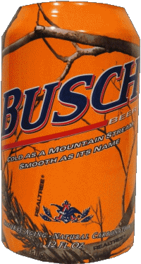 Drinks Beers USA Busch 