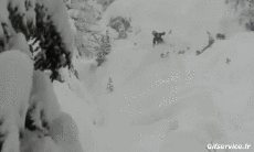 Humor -  Fun Sport Ski Free Ride Fun Win 