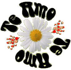 Messages Espagnol Te Amo 04 