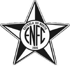 Sportivo Calcio Club America Logo Brasile Espírito Santo Estrela do Norte FC 