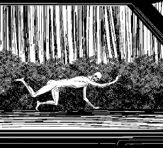 Umorismo -  Fun GIF Artista Uno Moralez 