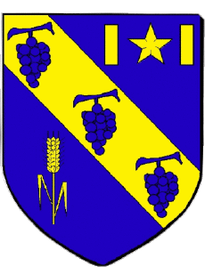 Bandiere Francia Dipartimenti - Città 51 LUDES 