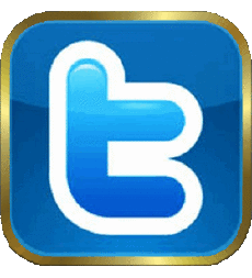 Multi Média Informatique - Internet Twitter 