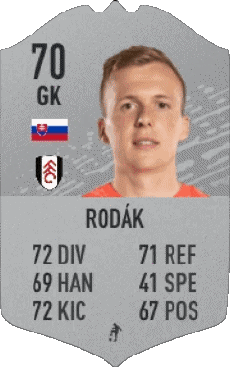 Multimedia Vídeo Juegos F I F A - Jugadores  cartas Eslovaquia Marek Rodák 
