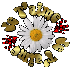 Messages French Je T'aime 05 