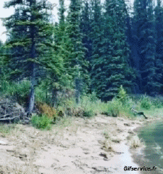 Humour - Fun Transports Bateaux Fun - Win 