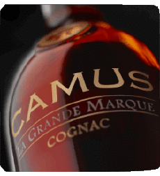 Getränke Cognac Camus 