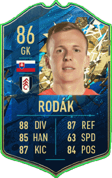 Multimedia Videogiochi F I F A - Giocatori carte Slovacchia Marek Rodák 