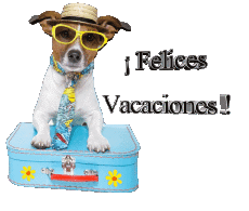 Nachrichten Spanisch Felices Vacaciones Transparenter Hintergrund 29 