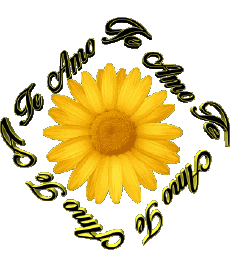 Messages Spanish Te Amo 02 