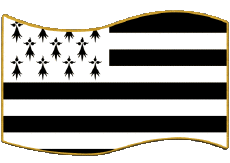 Drapeaux France Régions Bretagne Rectangle 