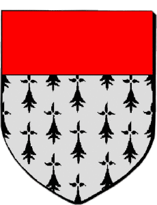 Bandiere Francia Dipartimenti - Città 85 AIZENAY 