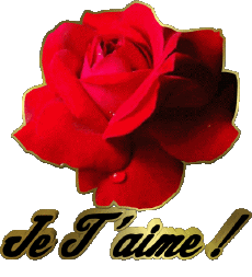 Messages French Je T'aime 01 