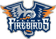 Sports Hockey - Clubs Canada - O H L Flint Firebirds 