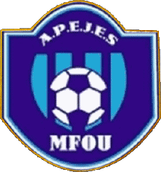Sports FootBall Club Afrique Cameroun Apejes Academy 