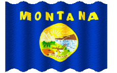 Flags America U.S.A - States Montana Waving 