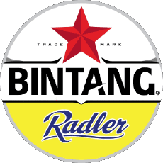 Boissons Bières Indonésie Bintang-Beer 