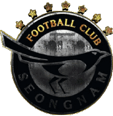 Sport Fußballvereine Asien Südkorea Seongnam FC 