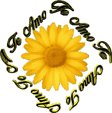 Messages Espagnol Te Amo 02 