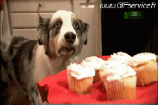 Umorismo -  Fun Animali Cani 01 