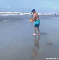 Humor -  Fun Sport Skim board Stürze - Fail 