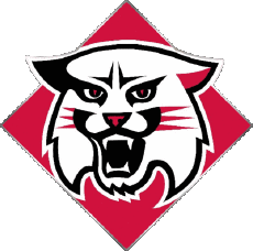 Sportivo N C A A - D1 (National Collegiate Athletic Association) D Davidson Wildcats 