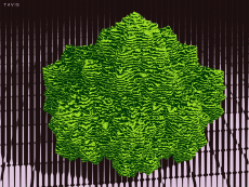 Humor -  Fun GIF Artists Bill Tavis 