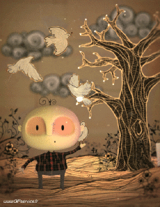 Humor -  Fun 3d Effects Stéreoscopique Wiggle 