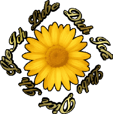 Messages Allemand Ich Liebe Dich 02 