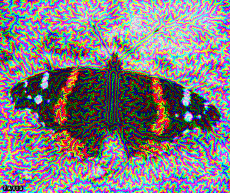 Humour - Fun GIF Artistes Bill Tavis 