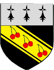 Banderas Francia Departamentos - Ciudades 08 GUINCOURT 