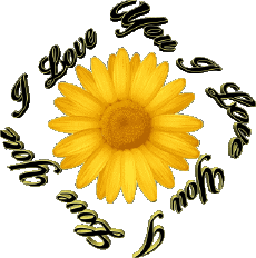 Mensajes Inglés I Love You 02 