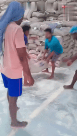 Humor - Fun GENTE En el trabajo Fun - Win 02 