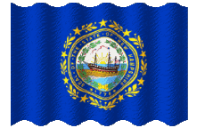 Banderas América U.S.A - Estados New Hampshire Ondulación 