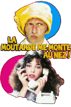 Multi Média Cinéma - France Pierre Richard La Moutarde me monte au nez 