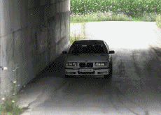 Humor - Fun Transporte Coches Accidente de rally fallido 