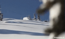 Humor -  Fun Sport Snowboard Fun - Win 