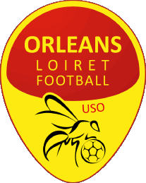 Sports Soccer Club France Centre-Val de Loire 45 - Loiret Orleans 