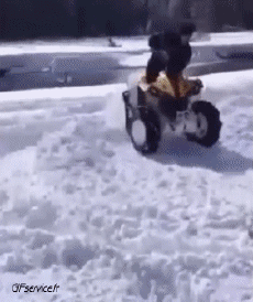 Humor -  Fun Transport Quad Fail 