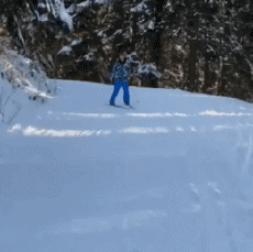 Humour - Fun Sports Ski Ski de Fond 