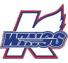 Sport Eishockey U.S.A - E C H L Kalamazoo Wings 