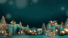 Messages Spanish Felices Fiestas Video 