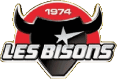 Sports Hockey - Clubs France Neuilly-sur-Marne 93 Bisons 