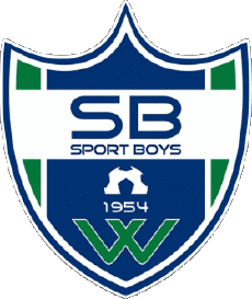 Sports FootBall Club Amériques Bolivie Sport Boys Warnes 