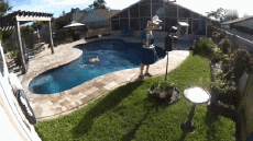 Humor -  Fun MENSCHEN Schwimmbad Fail 02 