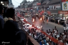 Humor -  Fun Animals Elephants 01 