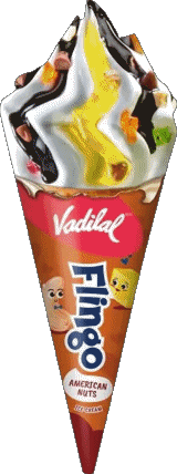 Food Ice cream Vadilal 