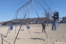 Humor -  Fun PEOPLE Swings Gamelles Fail 