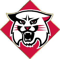Sport N C A A - D1 (National Collegiate Athletic Association) D Davidson Wildcats 