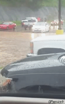 Humor - Fun Transporte Coches Accidente Fail 